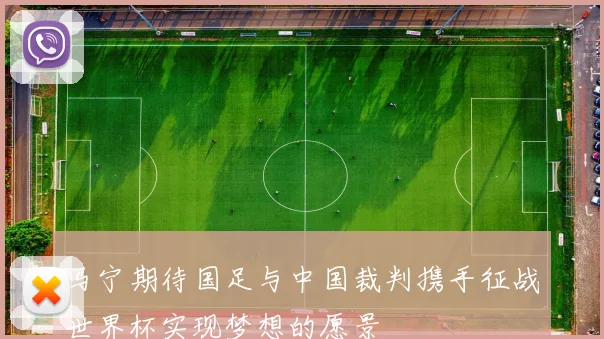 马宁期待国足与中国裁判携手征战世界杯实现梦想的愿景